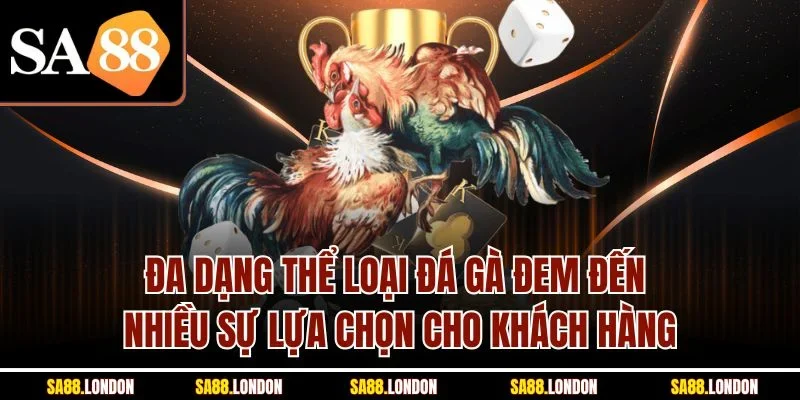 Đa dạng thể loại đá gà đem đến nhiều sự lựa chọn cho khách hàng